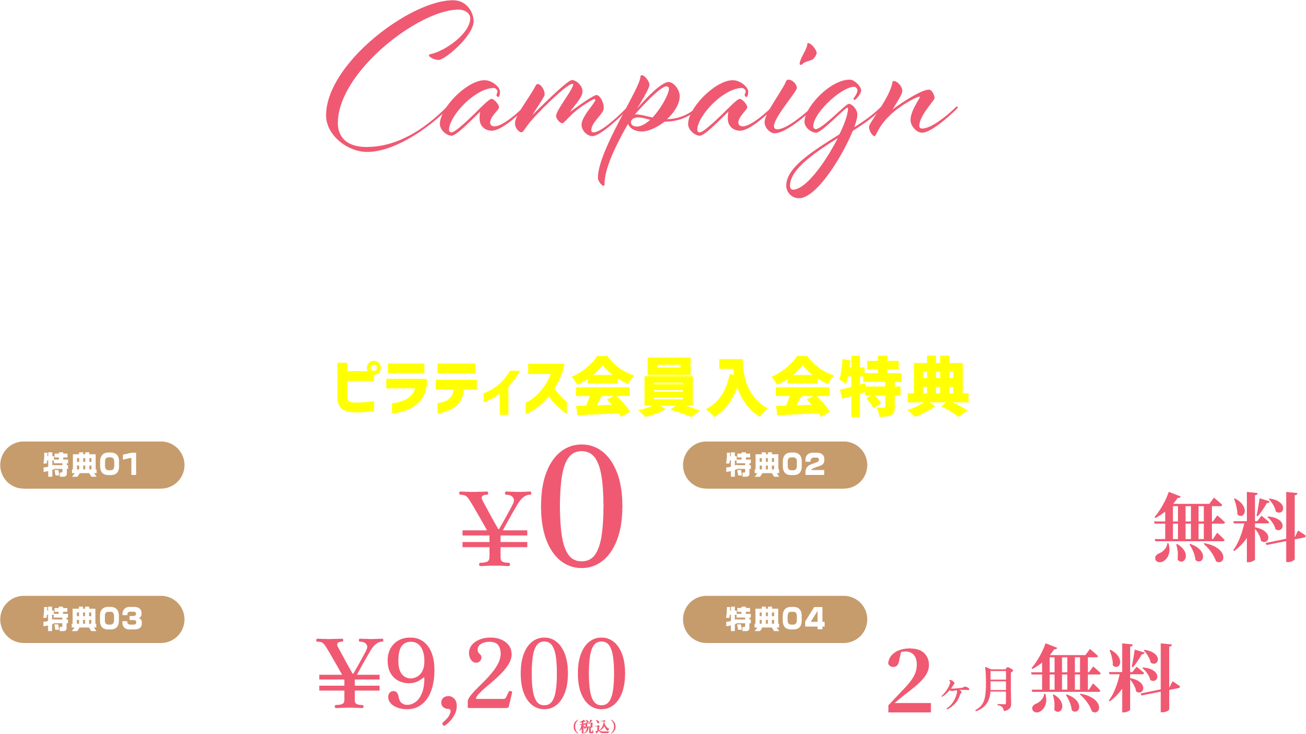 キャンペーン情報